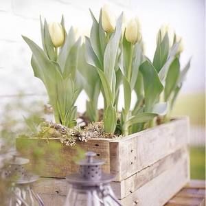 Meet your Posher, Carole